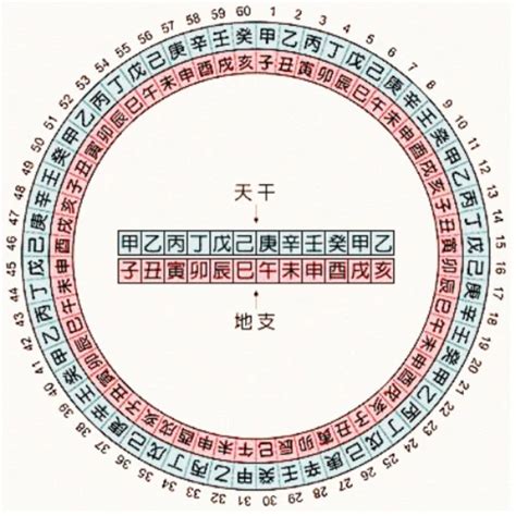 五行天干|天干地支五行对照表